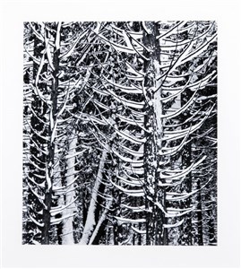 Image description is not available for 2018.027